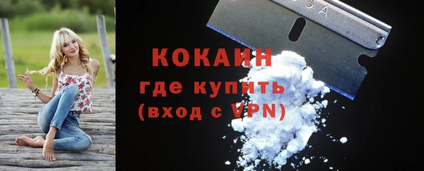 спайс Бородино