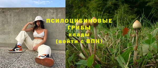 молекула духа Бугульма