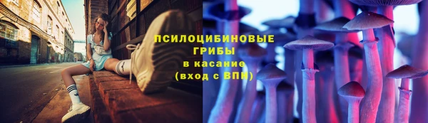 дмт Бронницы