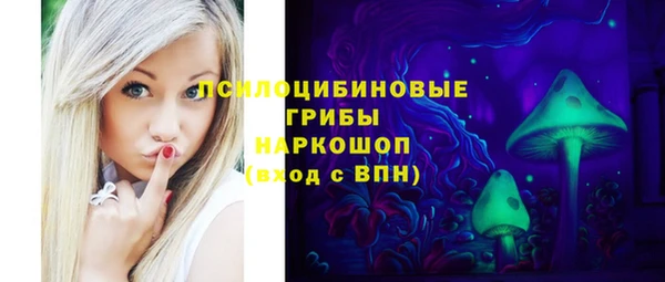 спайс Бородино
