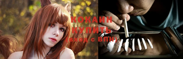 молекула духа Бугульма
